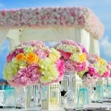 Wedding Planner