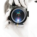 Photos d'Avatar