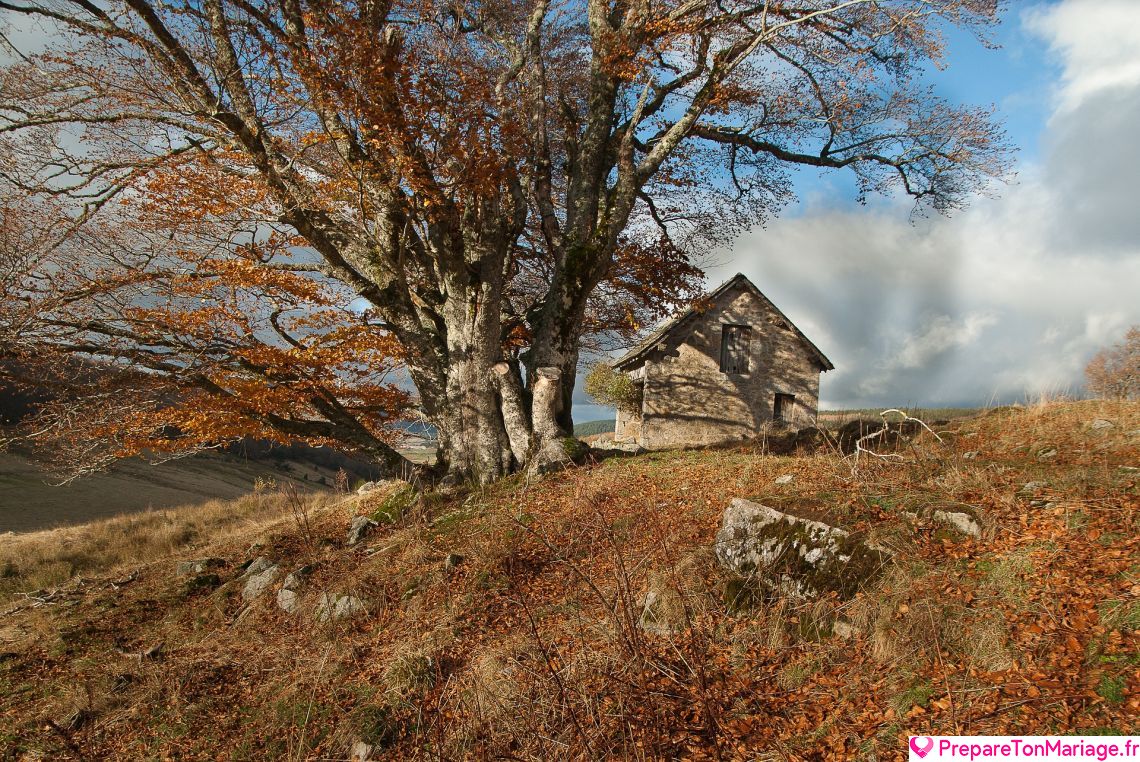 Lozère