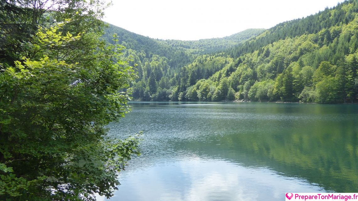 Vosges